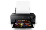 Epson SureColor P800