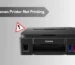 Why is Canon Printer Not Printing