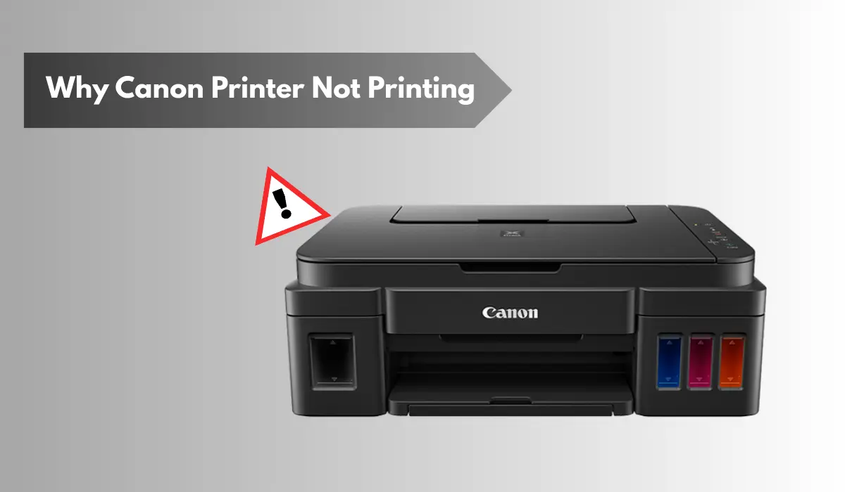 Why is Canon Printer Not Printing